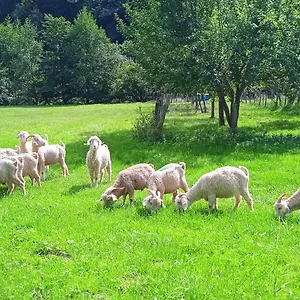  Guest house Au Mohair Des Alpy